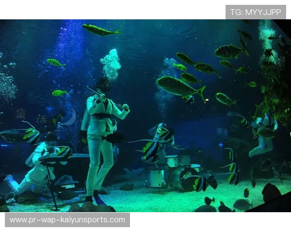 海底珊瑚礁潜水赛，探索海洋中的奇妙世界，珊瑚礁潜水和进阶潜水