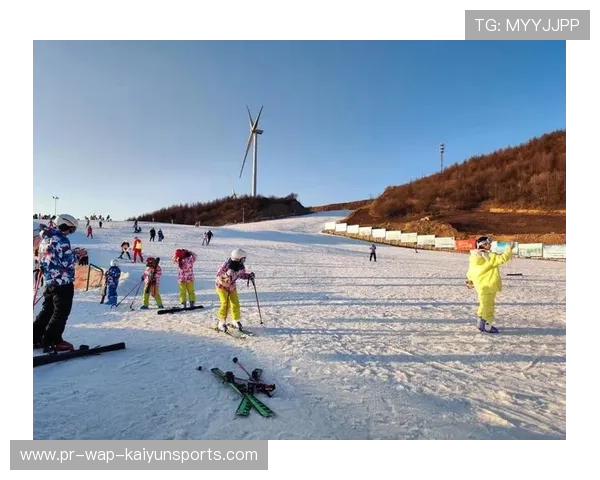 冬季运动项目普及范围扩大,多地新建冰场与滑雪场投入使用 冬季运动项目普及范围扩大,多地新建冰场与滑雪场投入使用